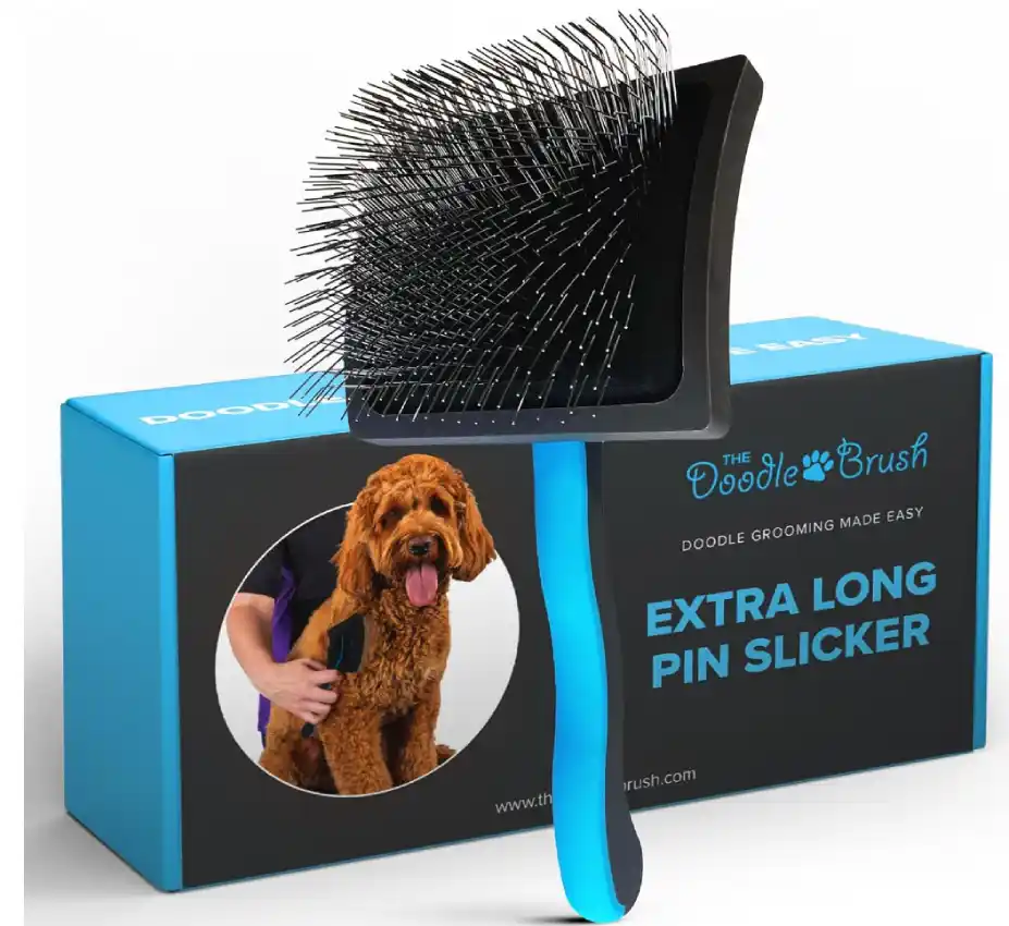 Brosse pour toilettage des chiens – Amazon