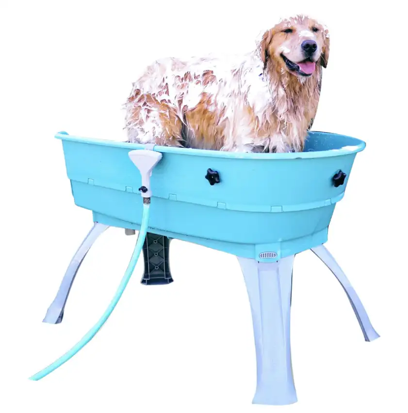 Bain surélevé pour Animal Domestique B005THTCYE