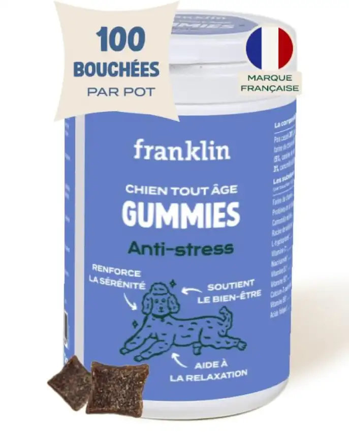 Complément alimentaire anti-stress pour chien – Amazon