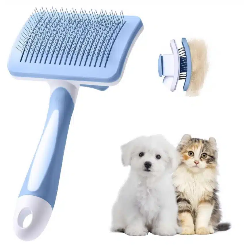 Brosse de toilettage pour chien – Amazon