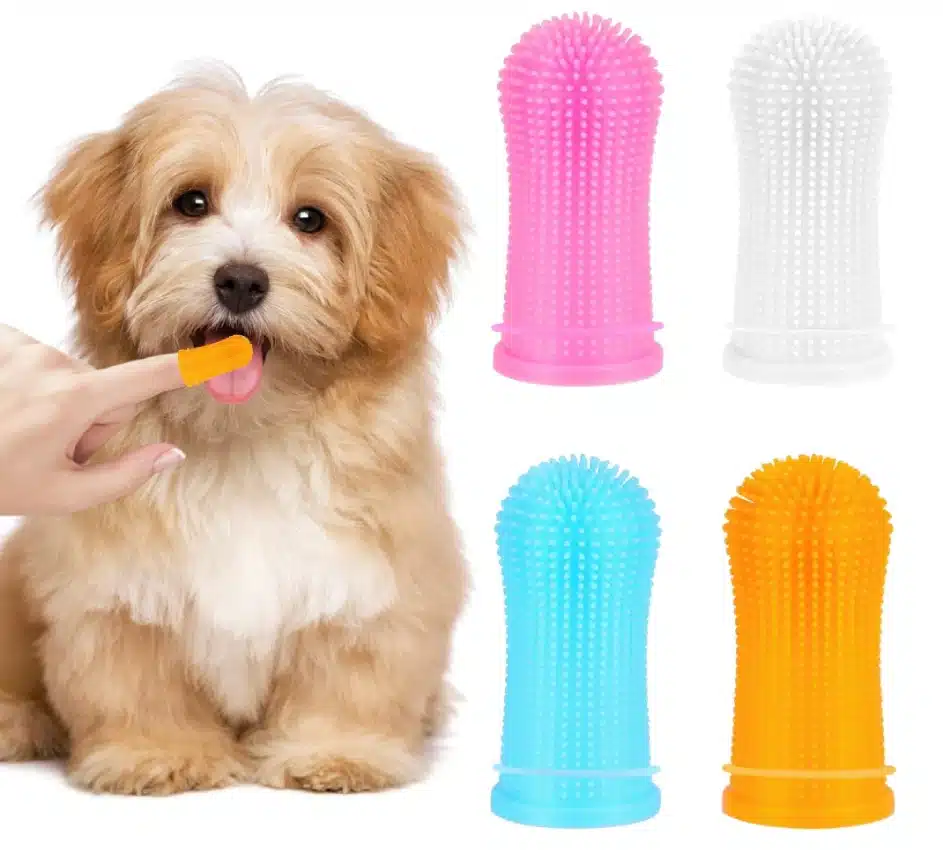 Brosse à dents à doigt pour chien – Amazon