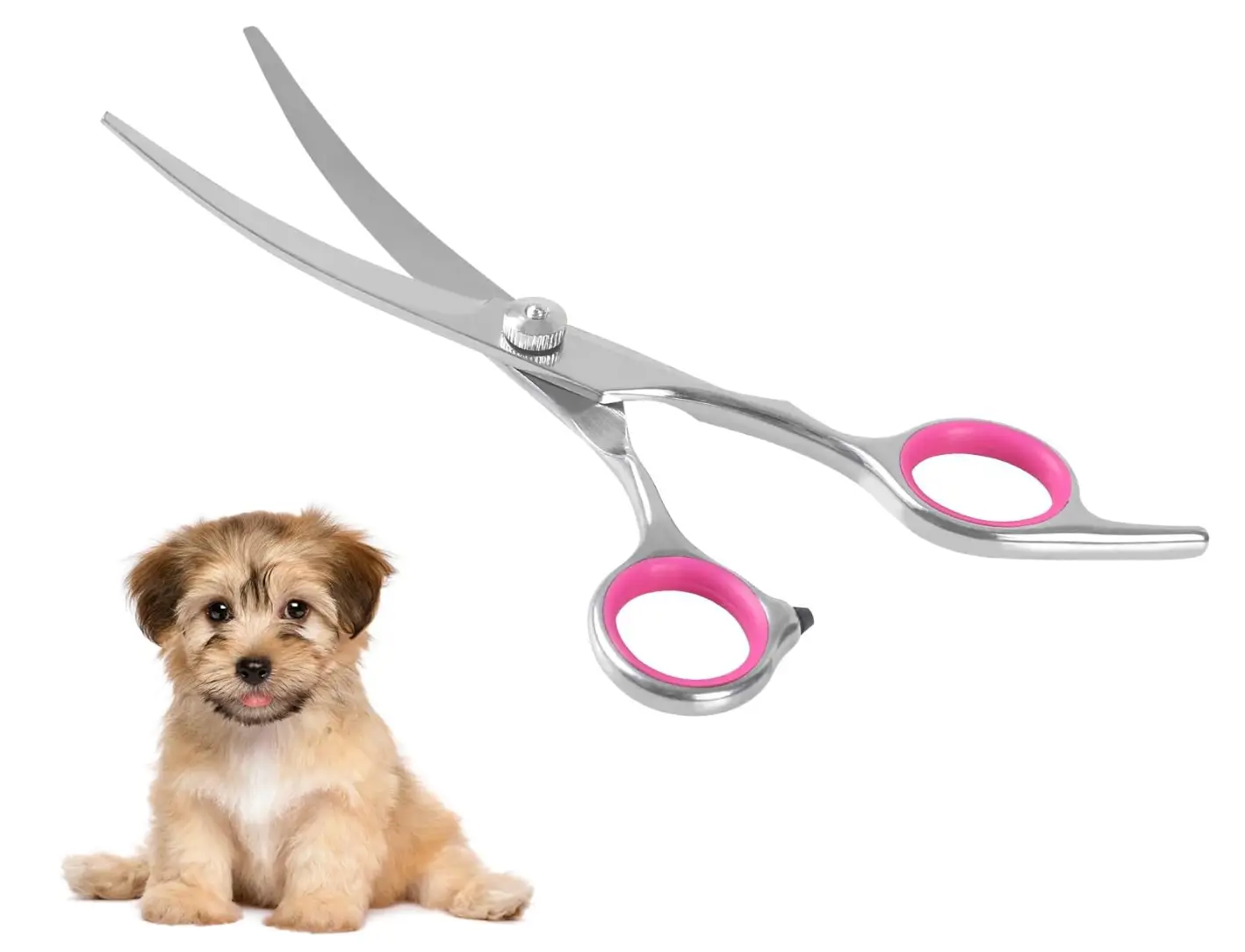 Ciseaux de coiffure pour chien – Amazon