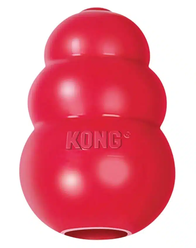 KONG Classic Jouet pour Chien – Taille M