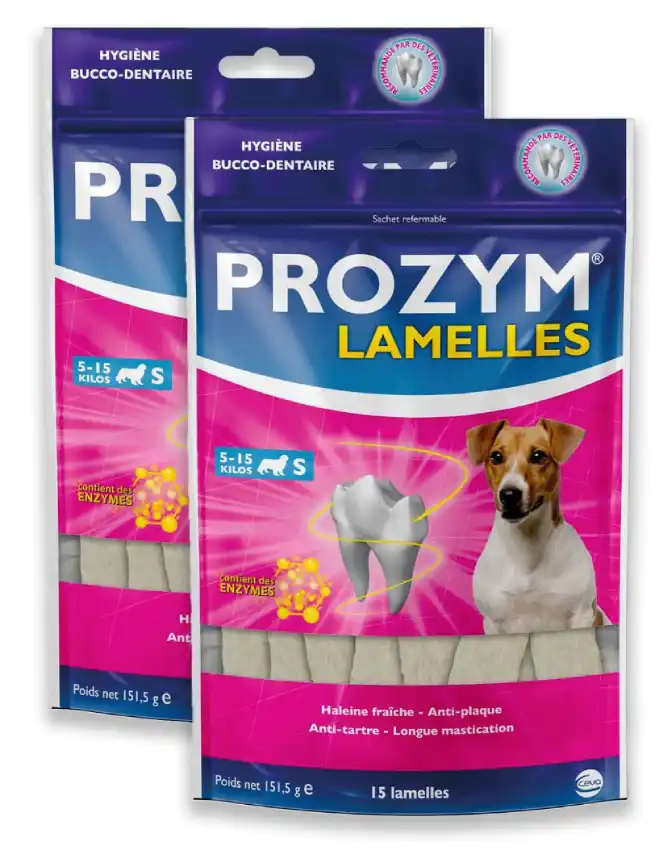Lamelles dentaires pour chien – B0D2NXTJHX