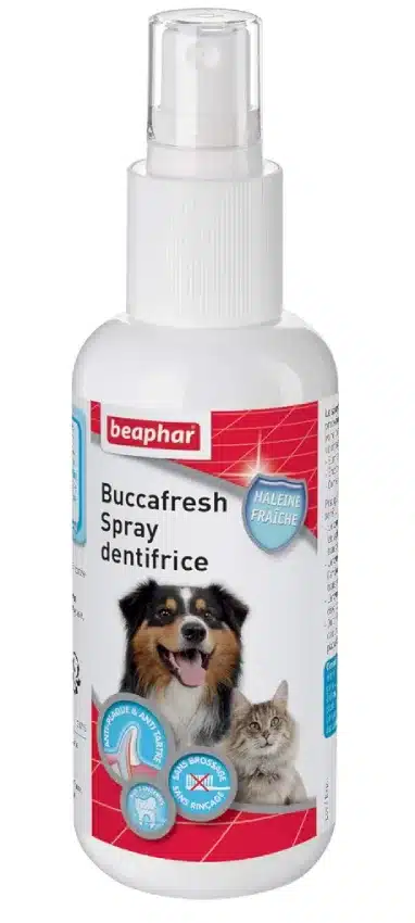 Spray dentaire pour chien – B009SJAH8O