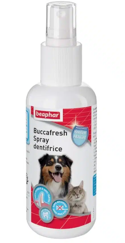 Spray dentaire pour chien – Vetocanis