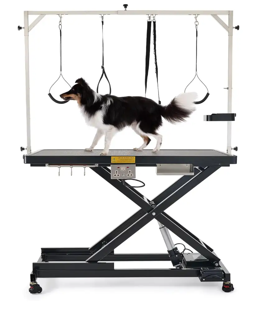 Table de Toilettage Électrique pour Chien – Amazon