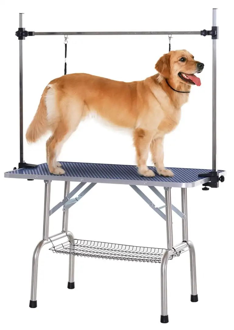 Table de Tonte et Soins pour Chien – Amazon