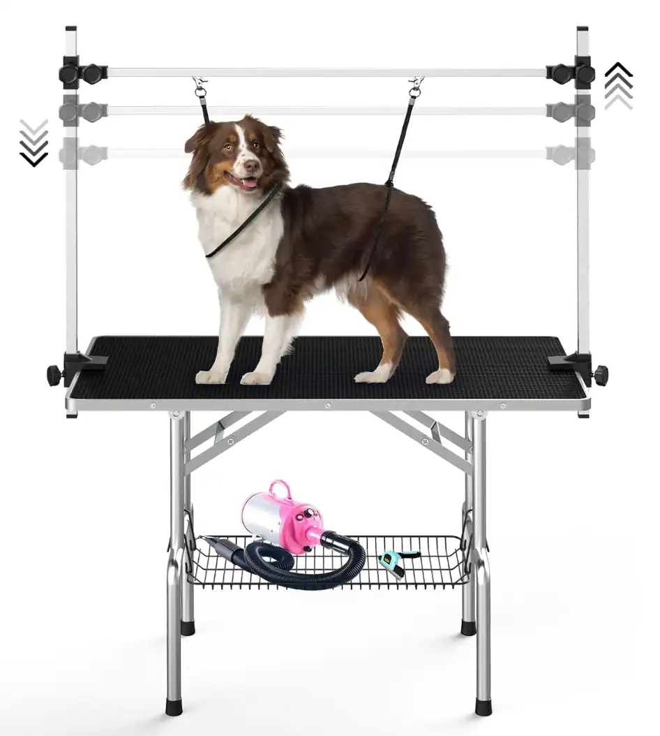 Table de toilettage pour chien – Amazon